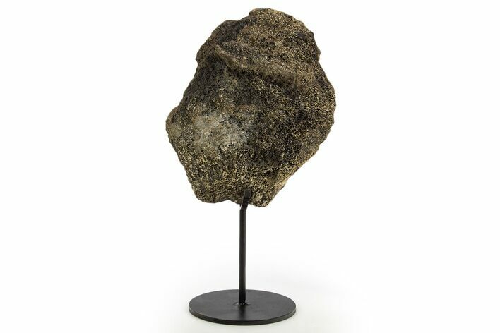 Dinosaur Appendage Bone Section w/ Metal Stand - South Dakota #331135